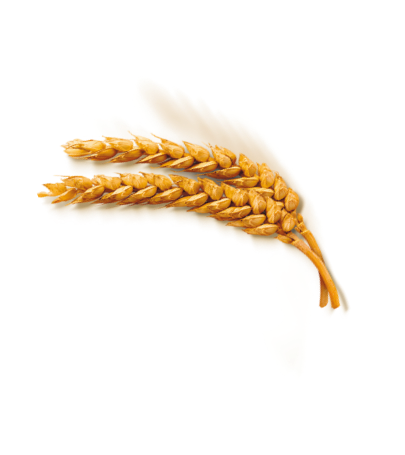 Ble
